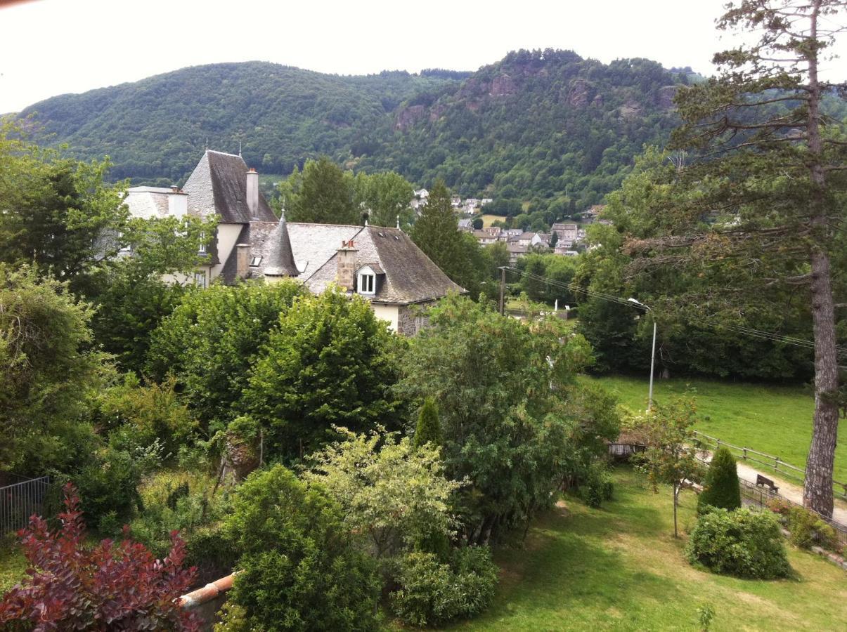 Bed and Breakfast Le Kino Panorama Vic-sur-Cère Exterior foto